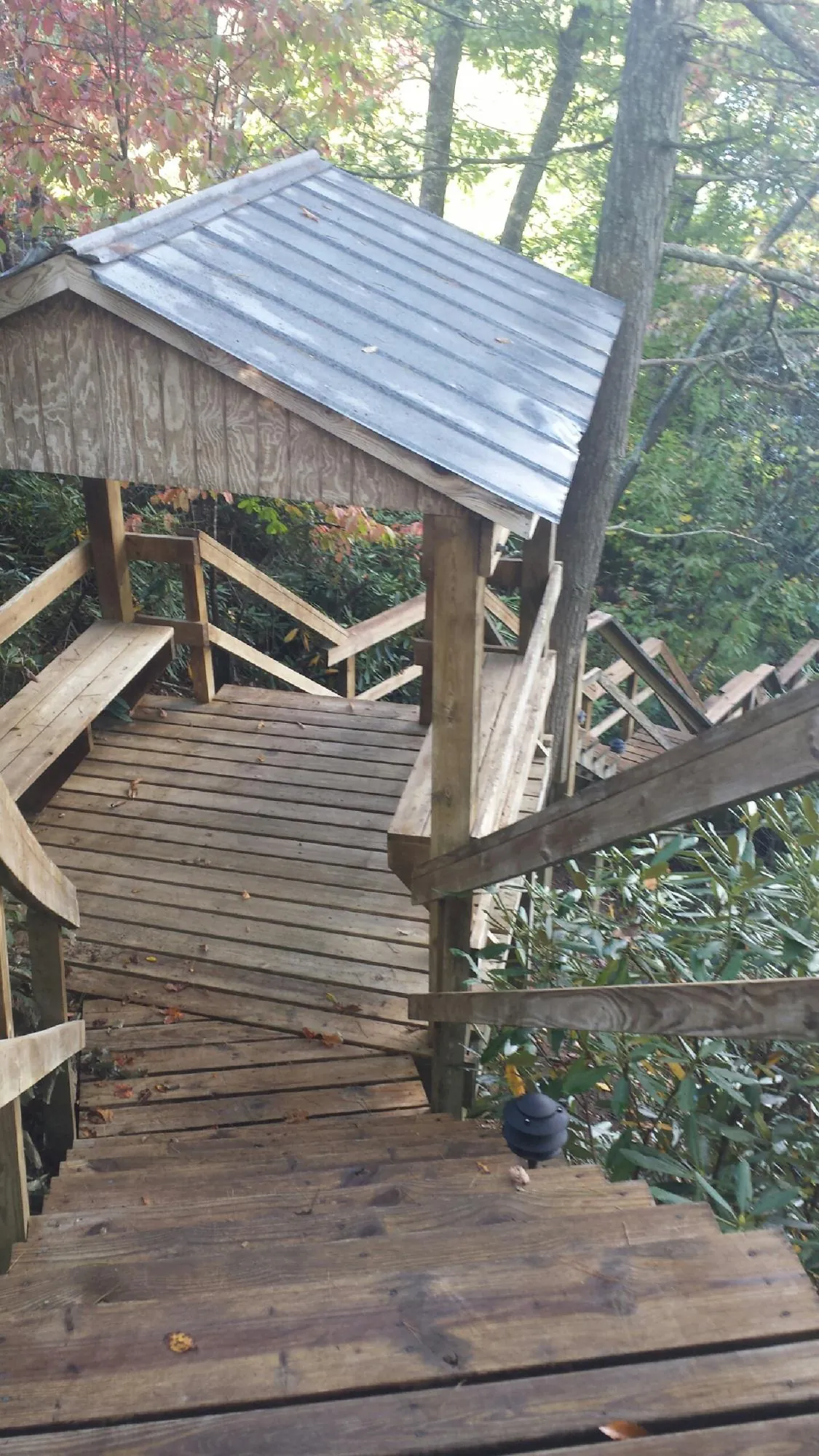 Metal roofed shelter over wooden steps on a wooded walkway — Skylight Repair & Installation work by our crew in Redwood City